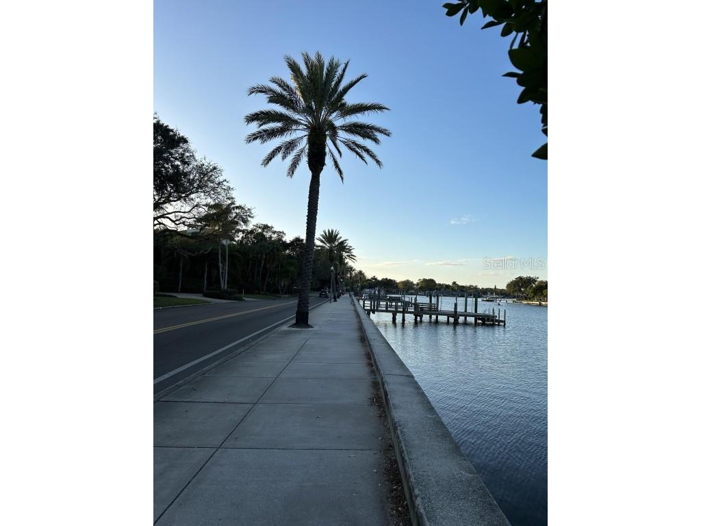 246 22nd Avenue NE Saint Petersburg FL 33704 TB8381370 image33