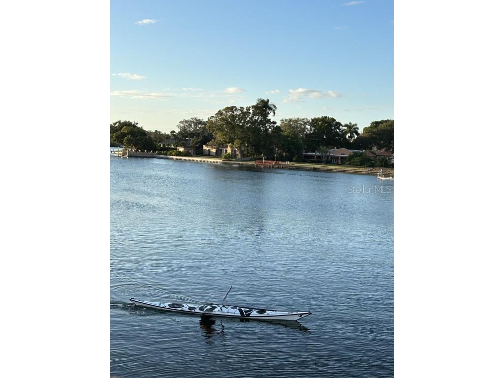 246 22nd Avenue NE Saint Petersburg FL 33704 TB8381370 image34