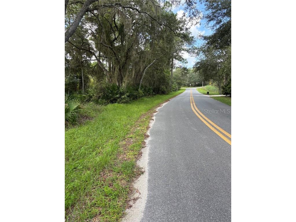 246 Browns Hammock Road Crescent City FL 32112 NS1085921 image1