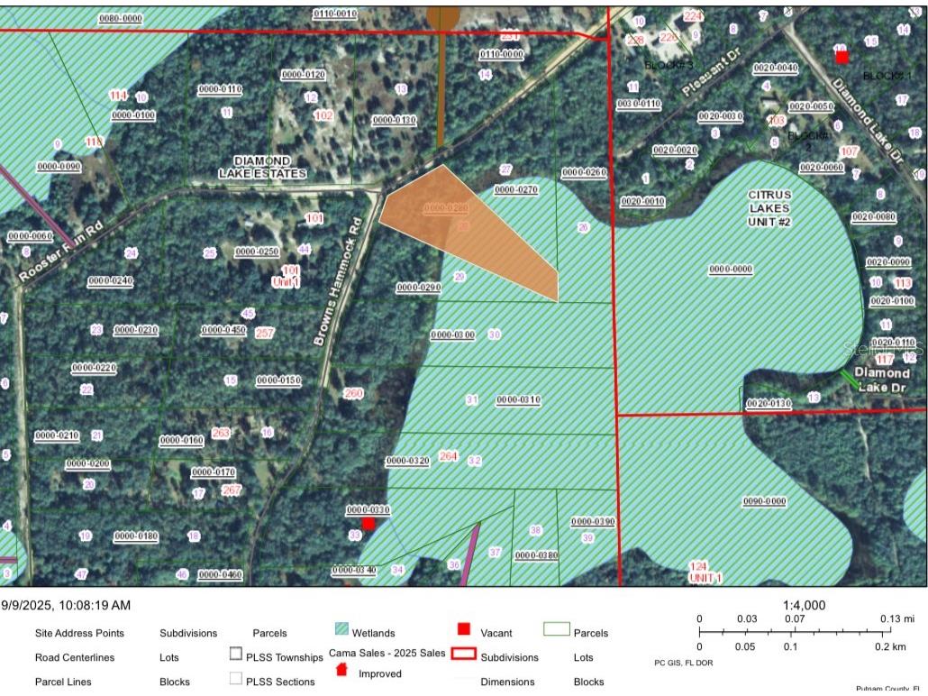 246 Browns Hammock Road Crescent City FL 32112 NS1085921 image2