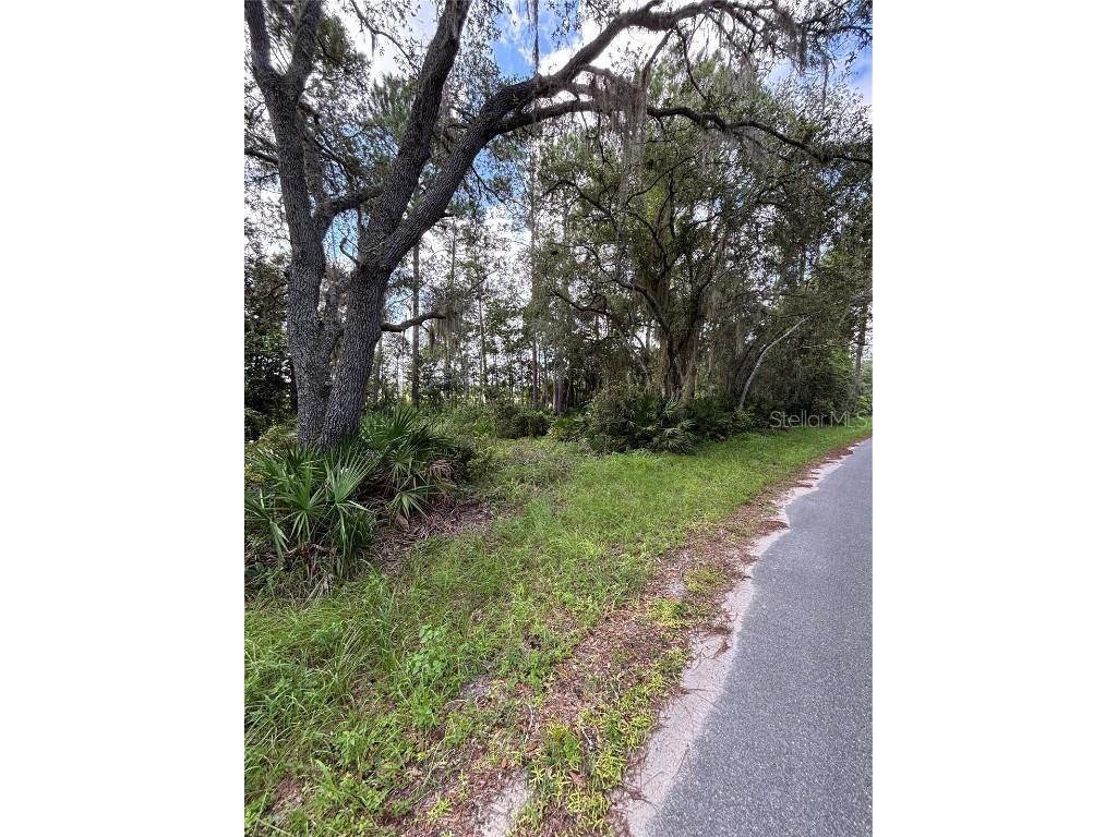 246 Browns Hammock Road Crescent City FL 32112 NS1085921 image5