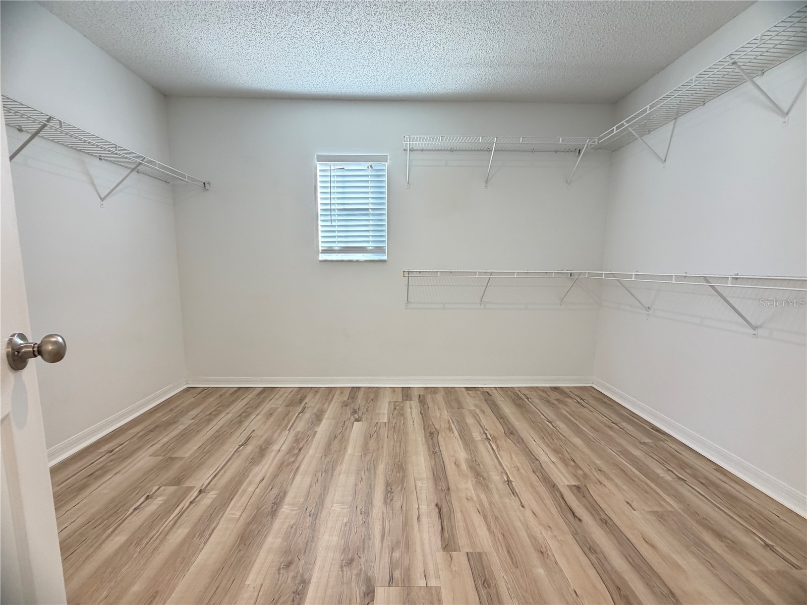 246 Canna Drive Davenport FL 33897 O6409726 image13