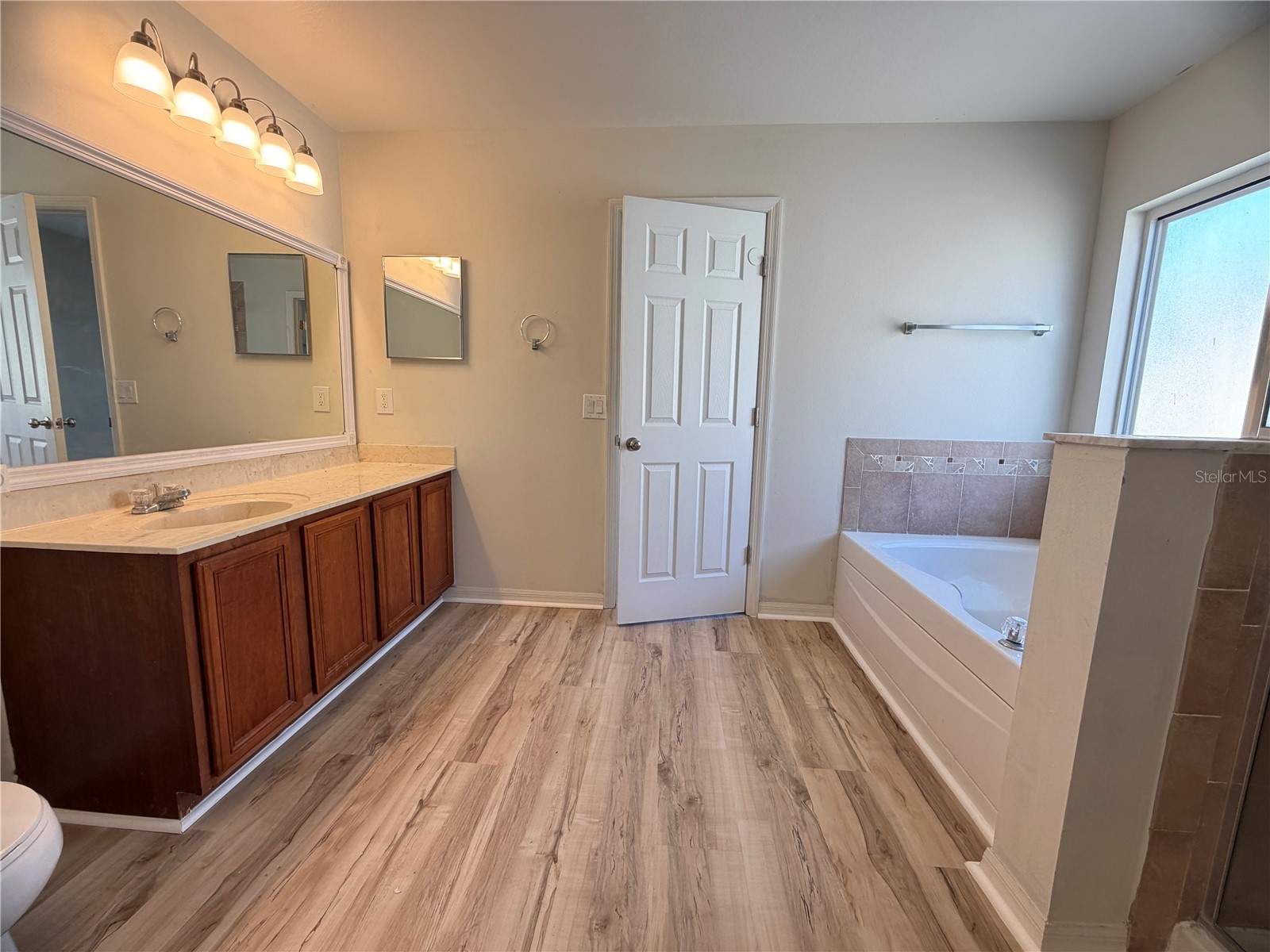 246 Canna Drive Davenport FL 33897 O6409726 image14