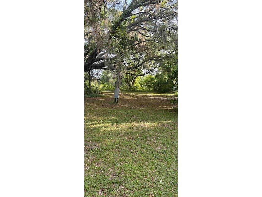 246 Lakeview Way Interlachen FL 32148 O6189008 image1