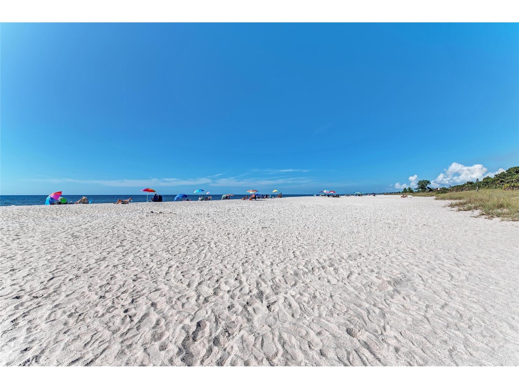 246 Laurel Hollow Drive #23 Nokomis FL 34275 A4687641 image82