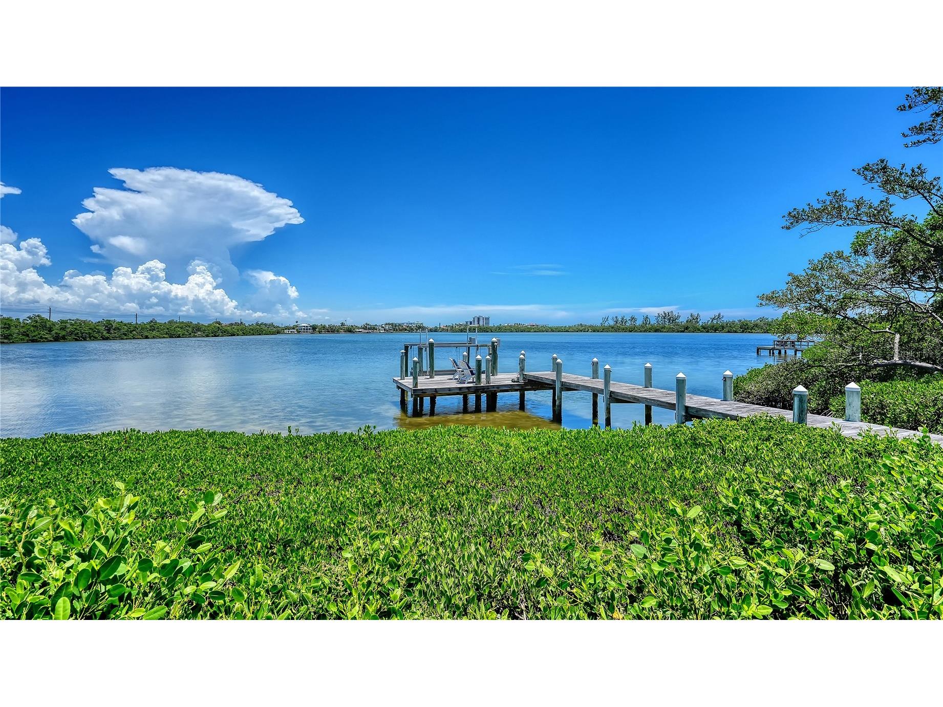 246 Morningside Drive Sarasota FL 34236 - PANSY BAYOU A4698159 image18