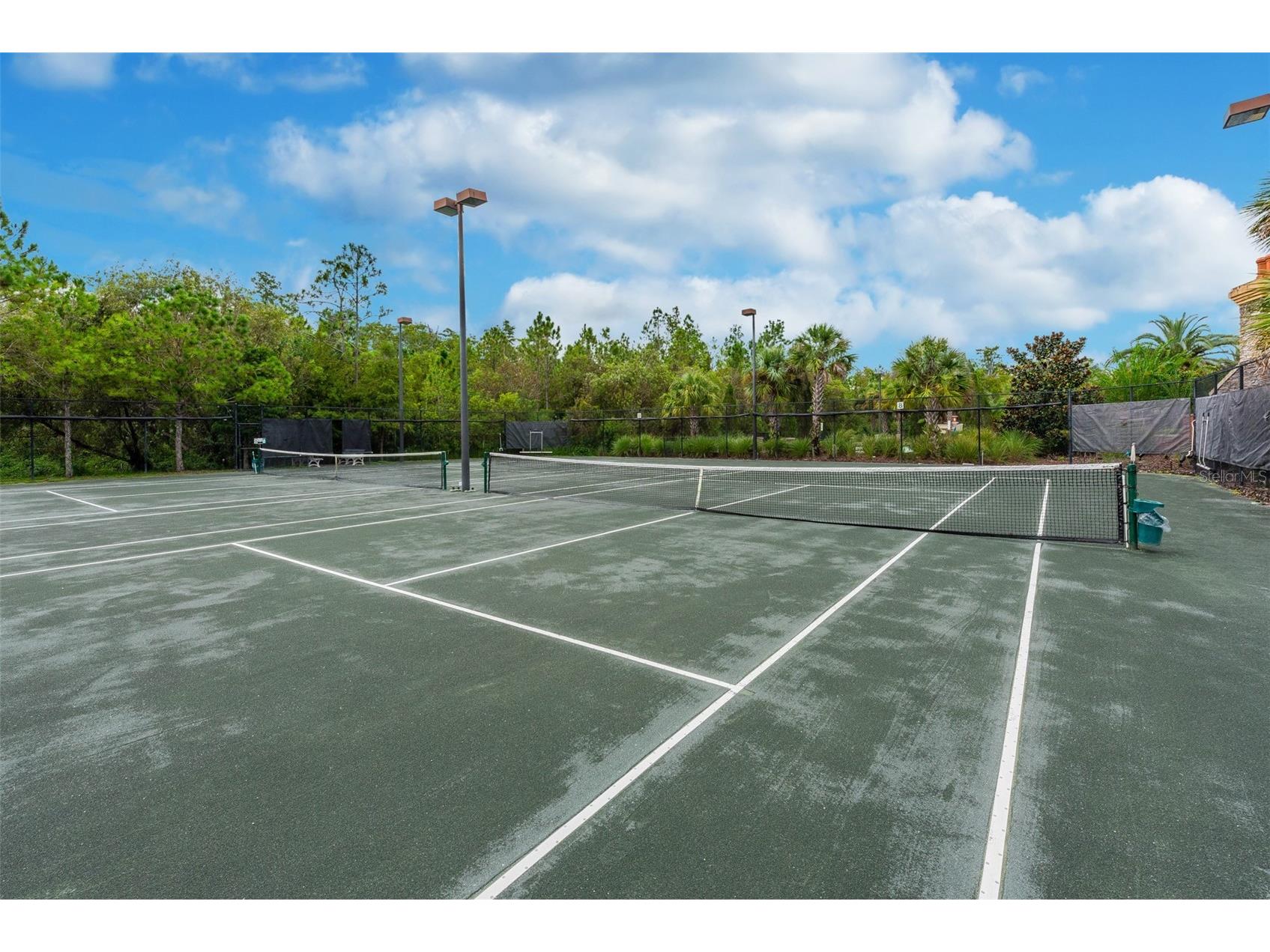 246 New River Drive Kissimmee FL 34759 O6381333 image31