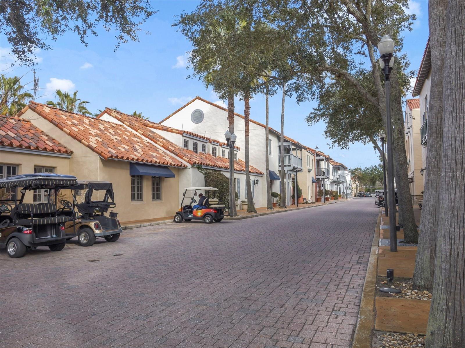 246 New River Drive Kissimmee FL 34759 O6381333 image33