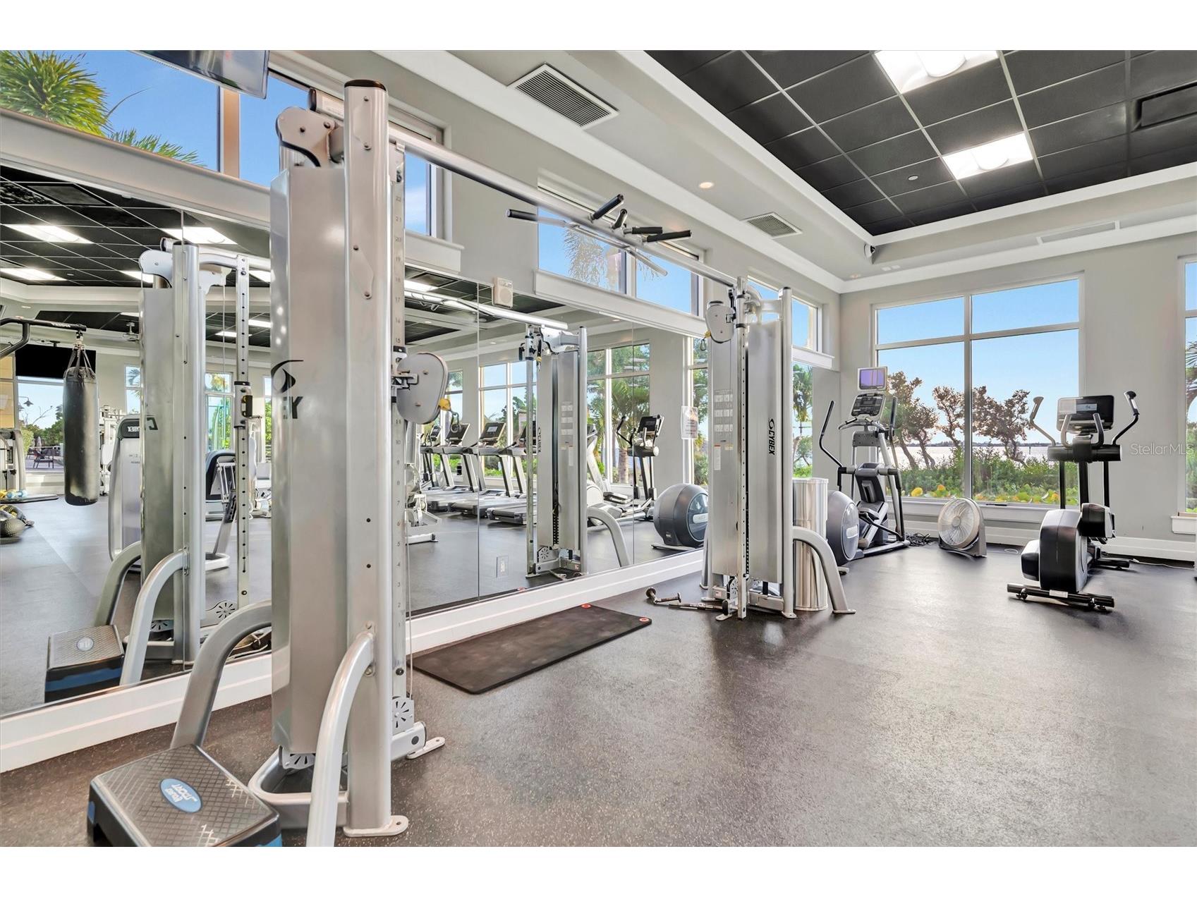 246 Sapphire Lake Drive #201 Bradenton FL 34209 A4693981 image59