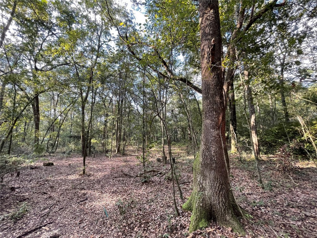 246 SW Stell Glen Lake City FL 32024 GC526452 image1