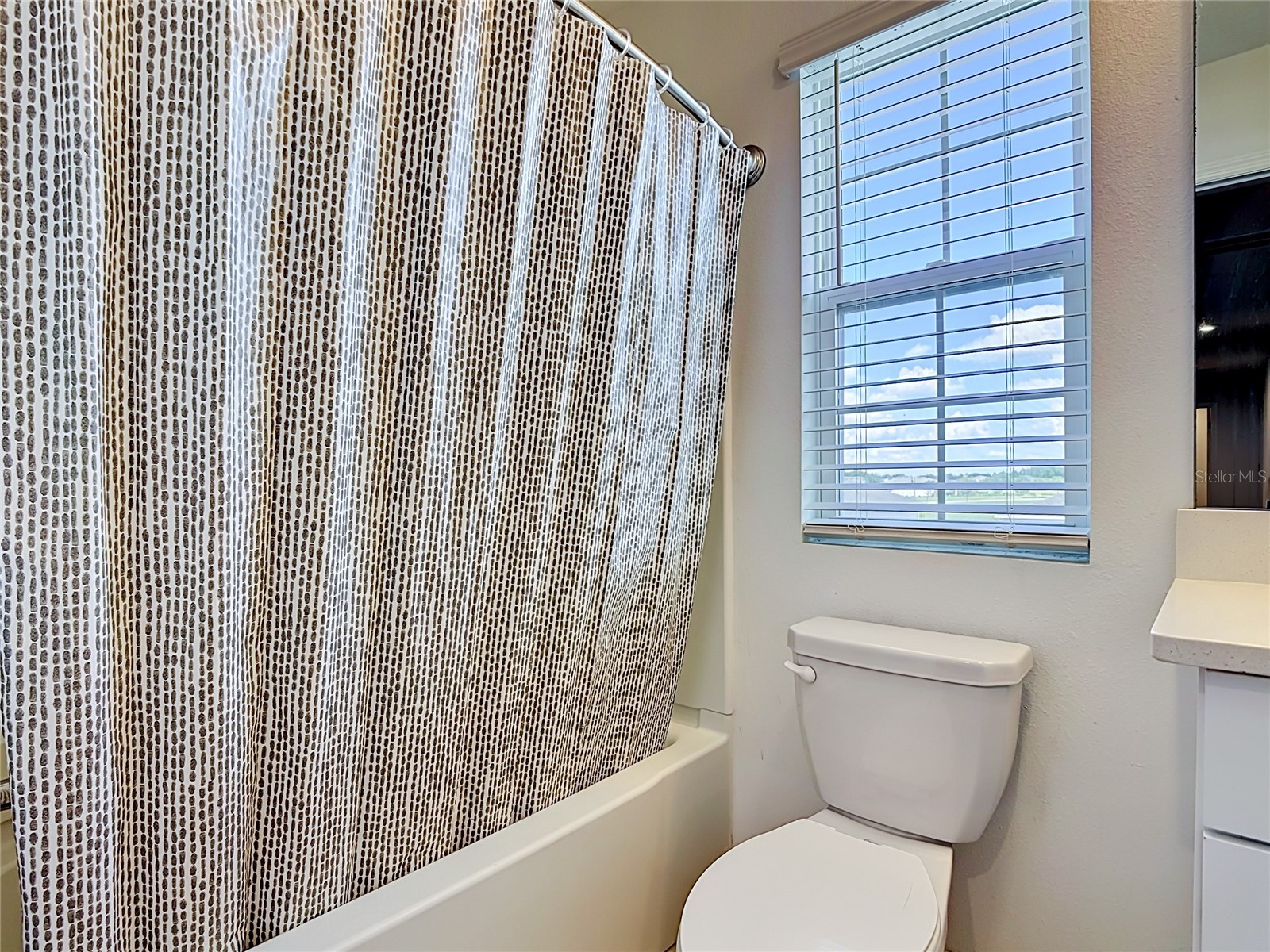 246 Zircon Road Kissimmee FL 34758 O6414782 image24