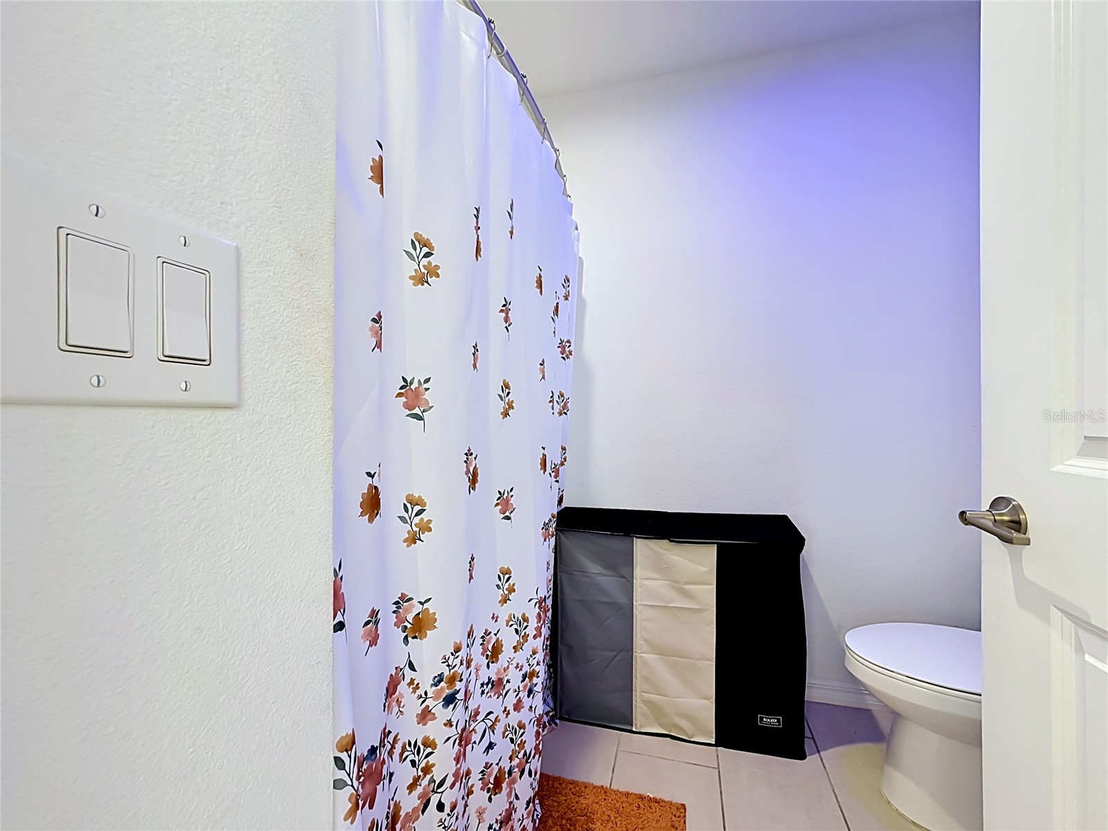 246 Zircon Road Kissimmee FL 34758 O6414782 image39