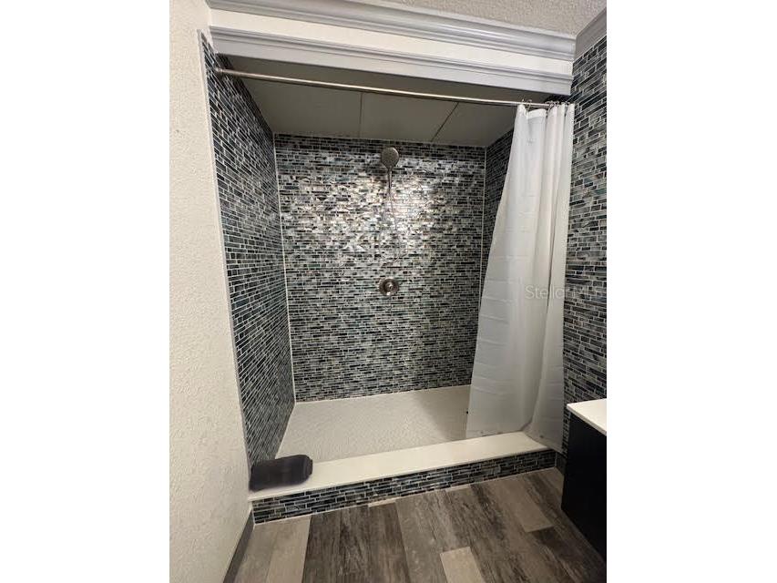 2460 Beacon Groves Boulevard Palm Harbor FL 34683 TB8413231 image14