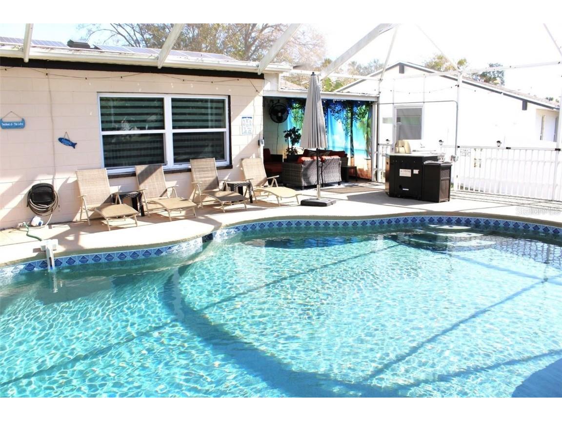 2460 Beacon Groves Boulevard Palm Harbor FL 34683 TB8413231 image16