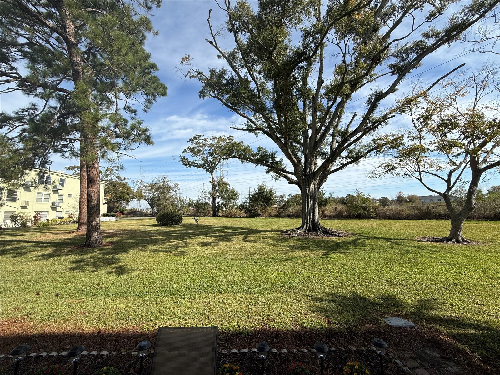 2460 Canadian Way #22 Clearwater FL 33763 TB8467631 image32