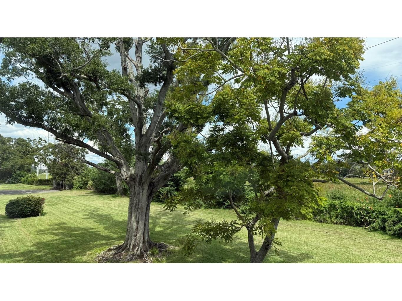 2460 Canadian Way #48 Clearwater FL 33763 TB8431909 image15