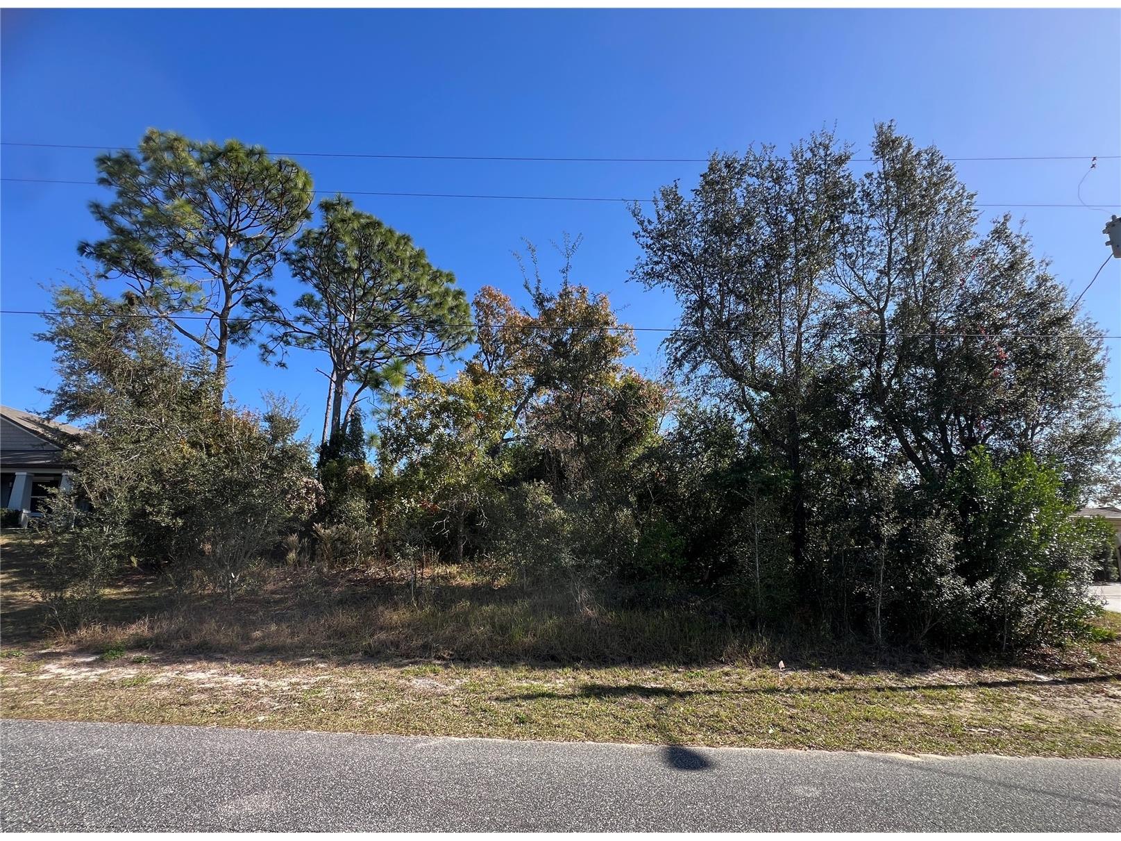 2460 Matheson Avenue Spring Hill FL 34608 W7881635 image1