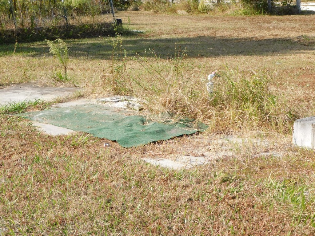 2460 NW Garvin Avenue Arcadia FL 34266 C7518208 image25