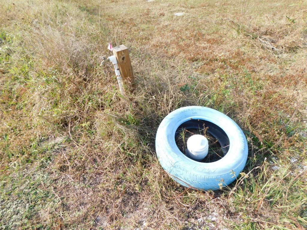 2460 NW Garvin Avenue Arcadia FL 34266 C7518208 image28