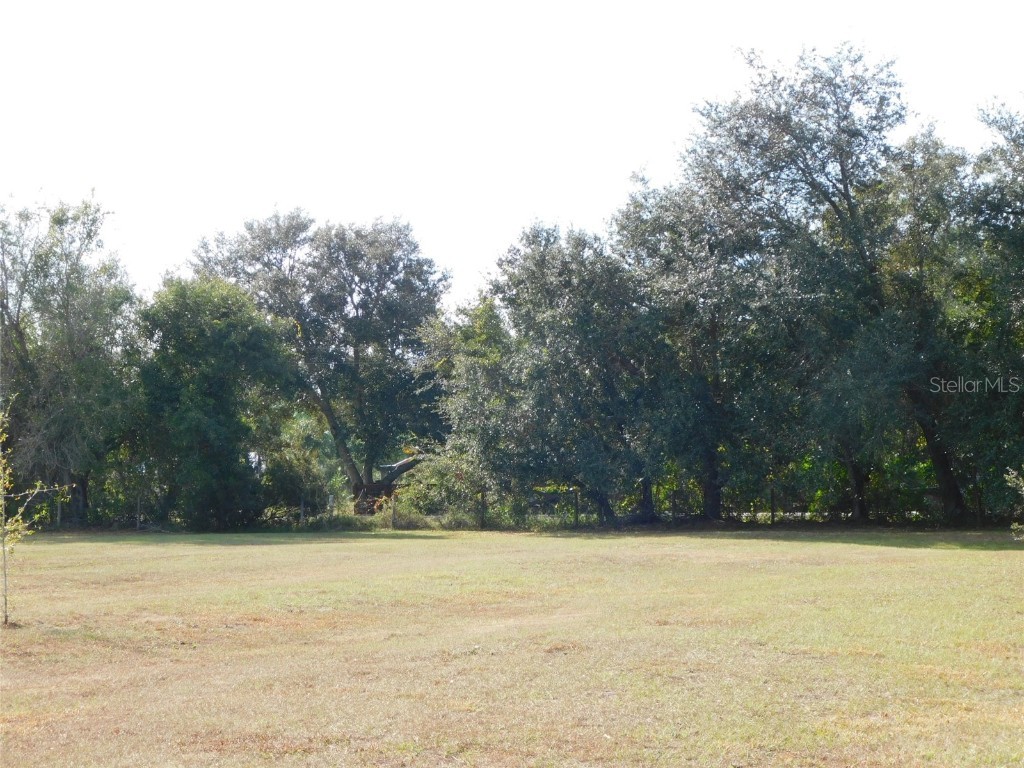 2460 NW Garvin Avenue Arcadia FL 34266 C7518208 image4