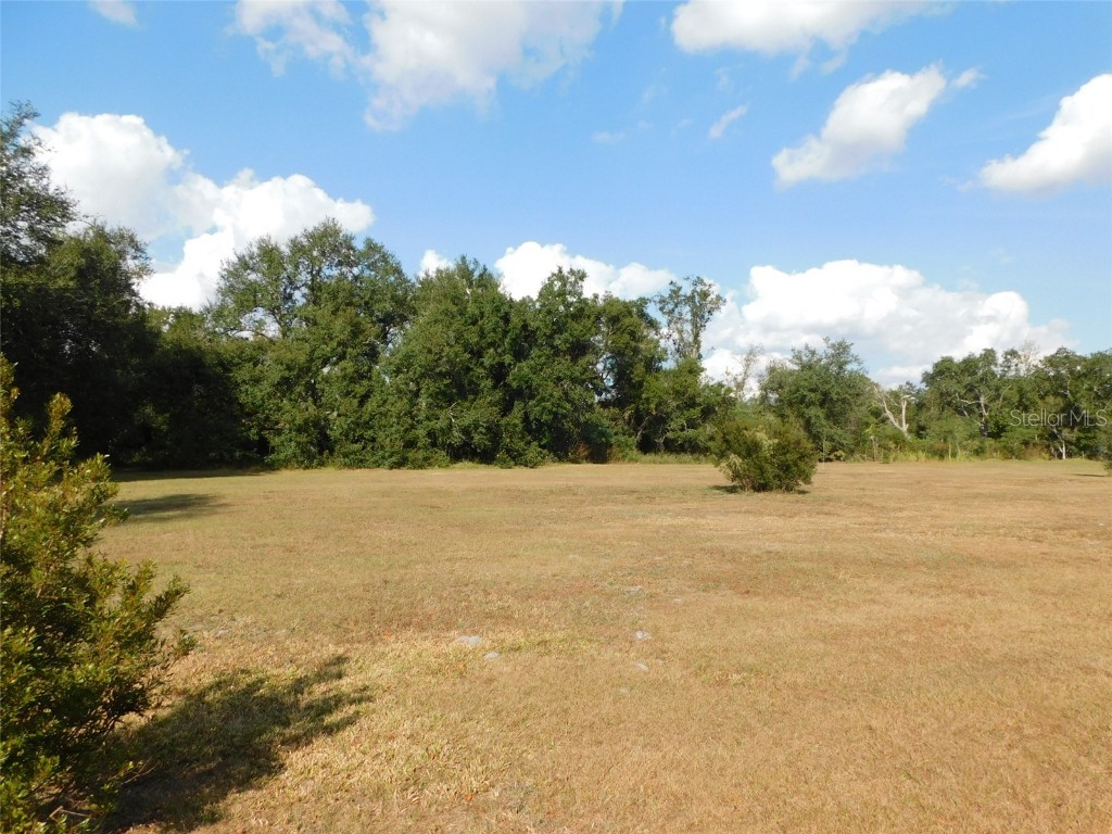 2460 NW Garvin Avenue Arcadia FL 34266 C7518208 image9