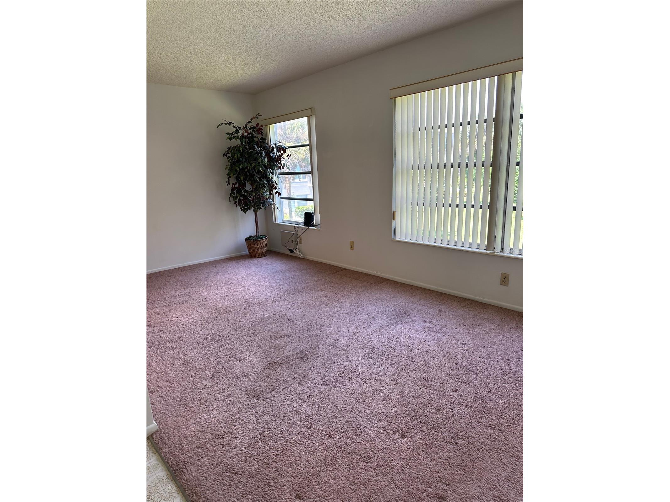 2460 Persian Drive #44 Clearwater FL 33763 TB8467691 image14