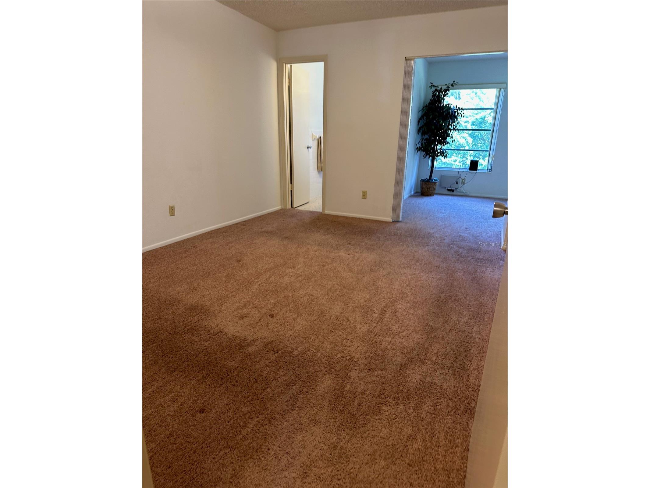 2460 Persian Drive #44 Clearwater FL 33763 TB8467691 image16