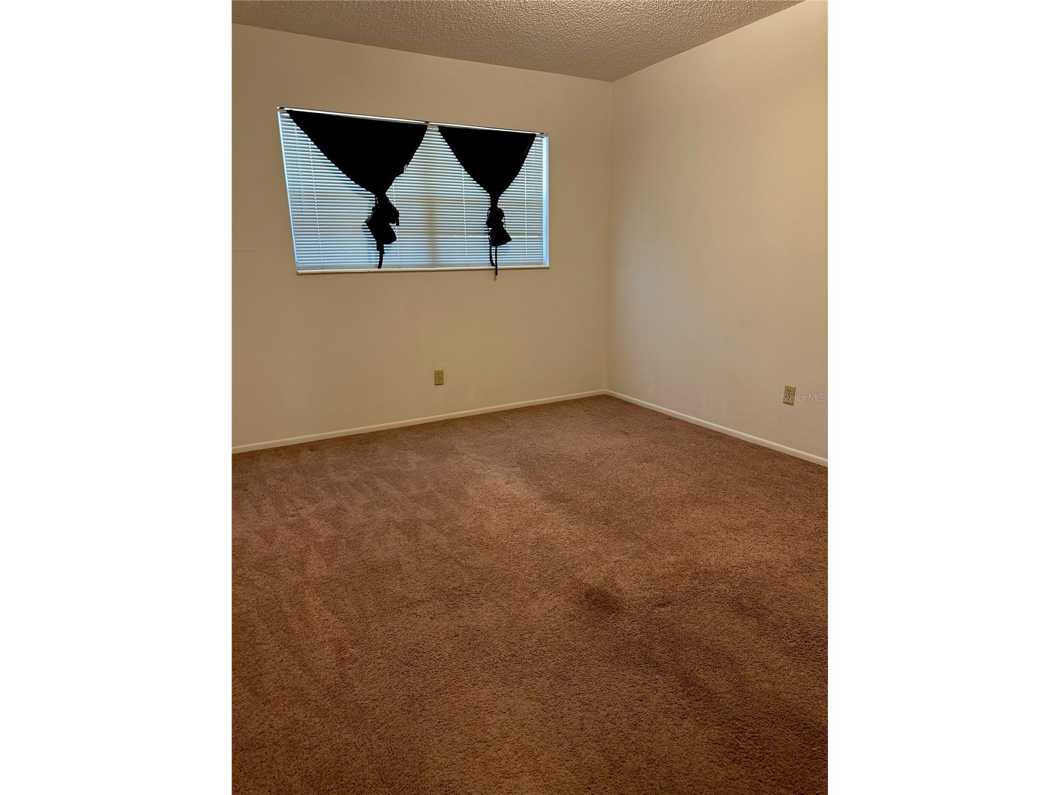 2460 Persian Drive #44 Clearwater FL 33763 TB8467691 image22