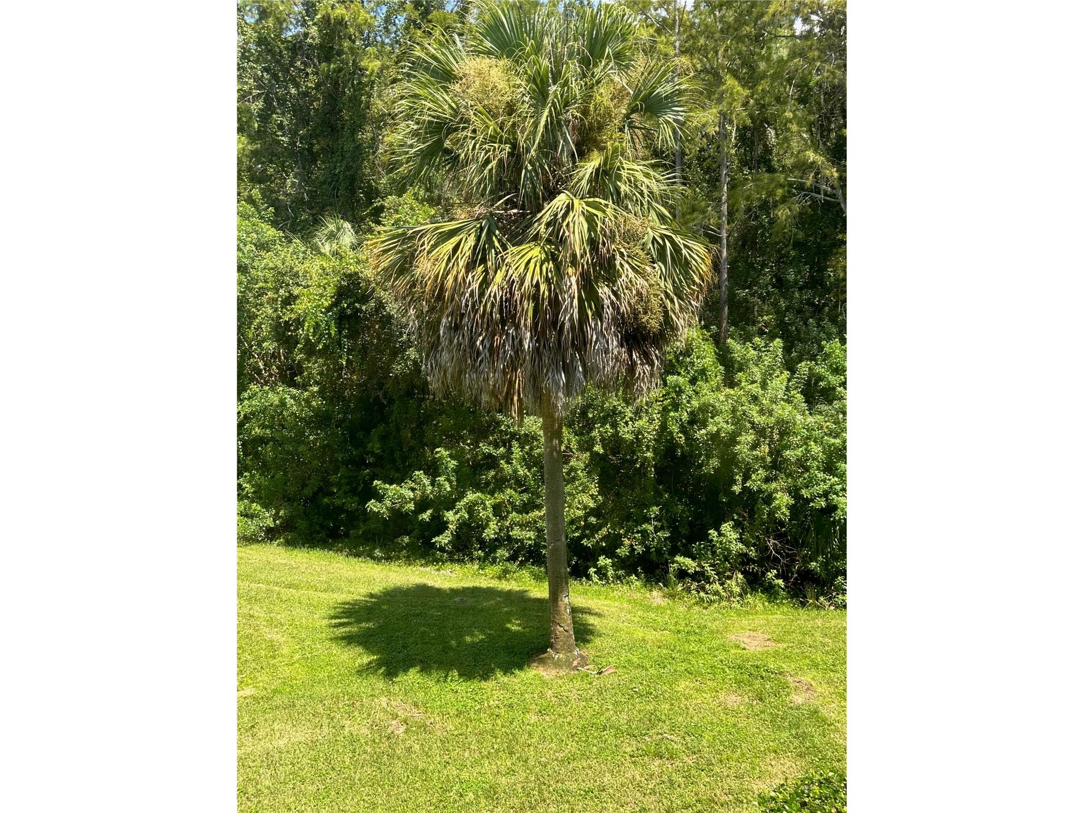 2460 Persian Drive #44 Clearwater FL 33763 TB8467691 image25