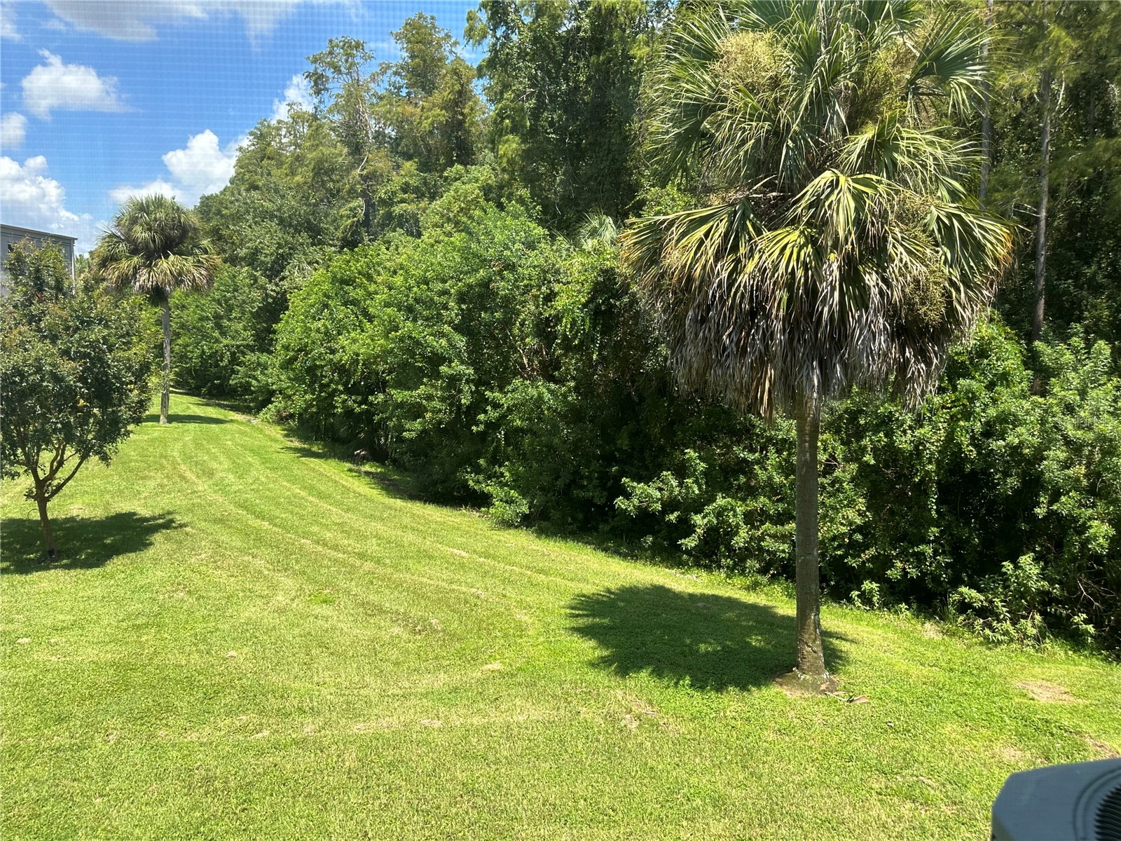 2460 Persian Drive #44 Clearwater FL 33763 TB8467691 image26