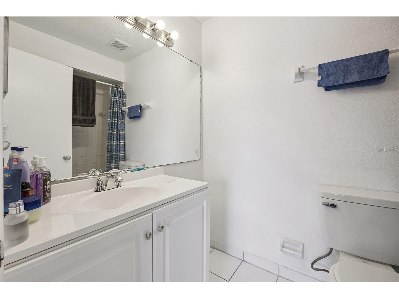 2460 Summerfield Way Kissimmee FL 34741 O6409121 image18