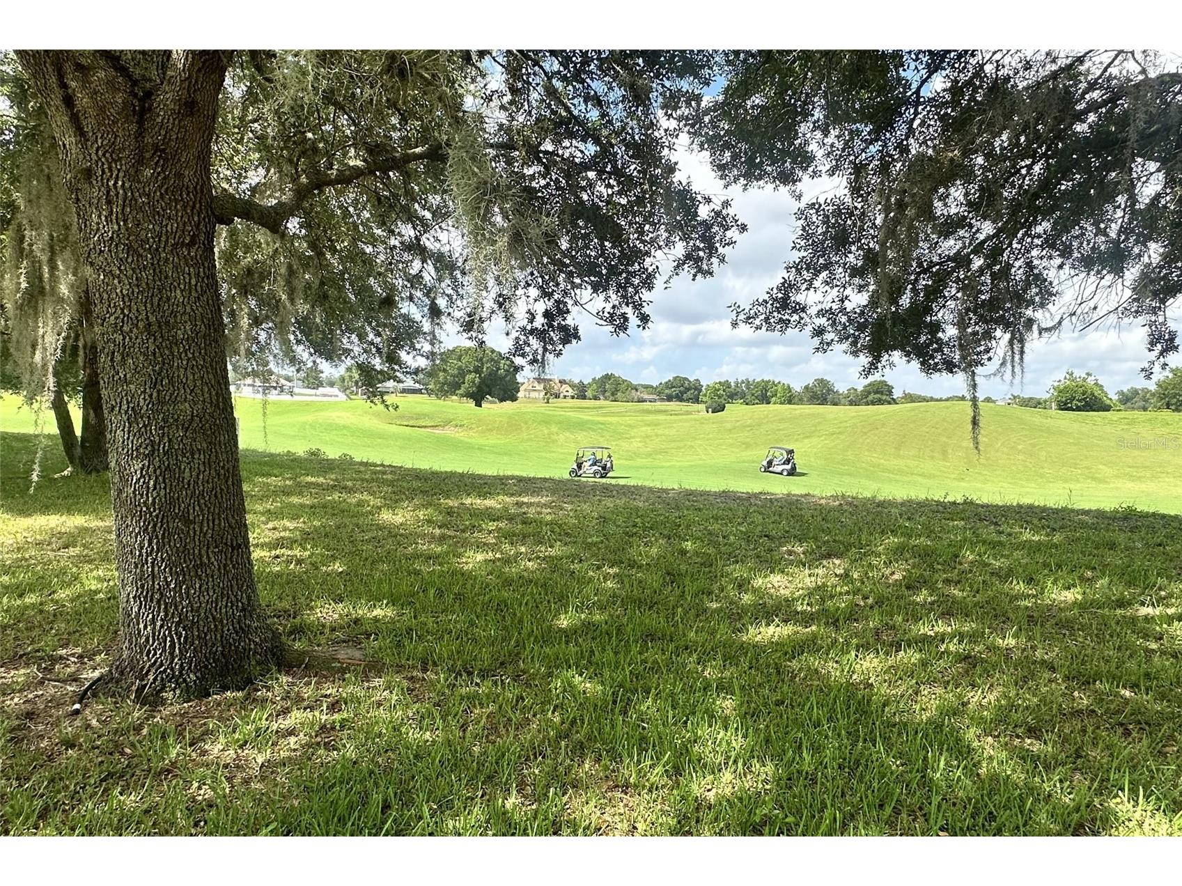 24600 Calusa Boulevard Eustis FL 32736 O6411516 image54