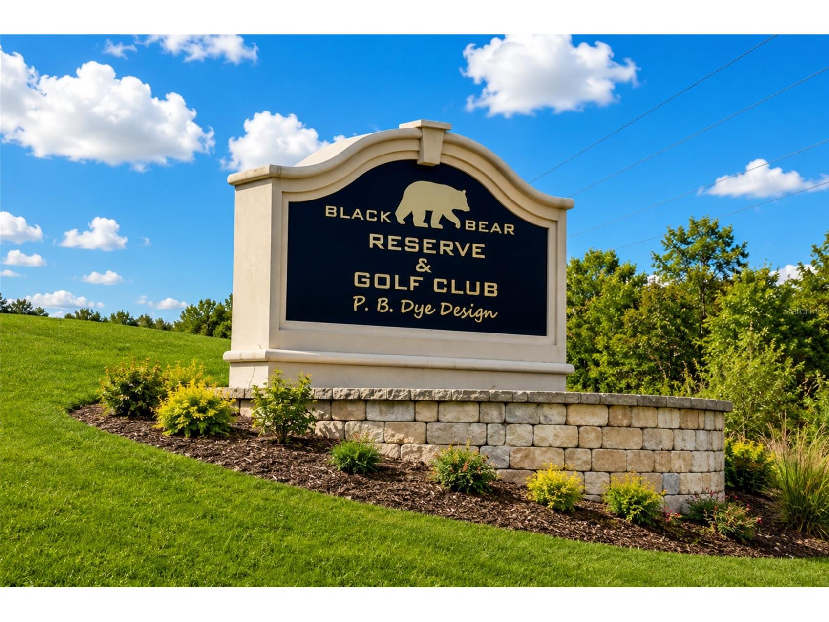 24600 Calusa Boulevard Eustis FL 32736 O6411516 image55