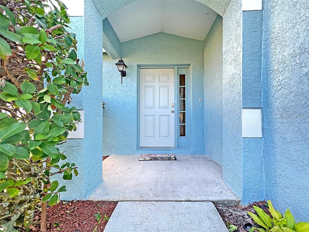 24604 Siena Drive Lutz FL 33559 U8199681 image1