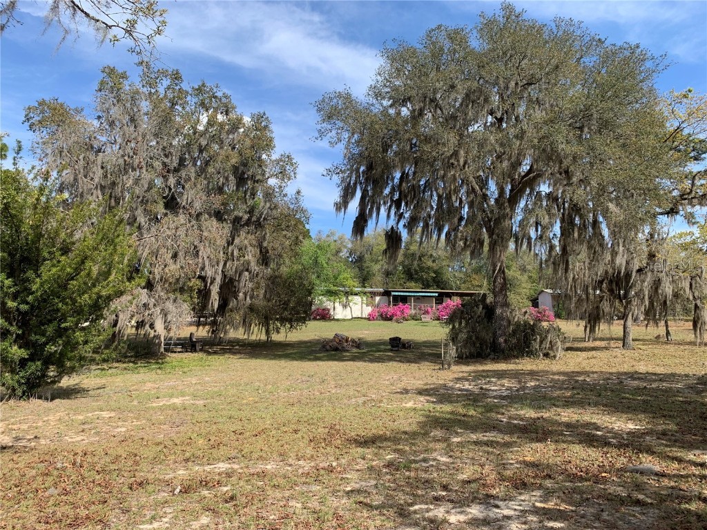 24605 and 24645 NE 177th Terrace Fort Mc Coy FL 32134 TB8433646 image10