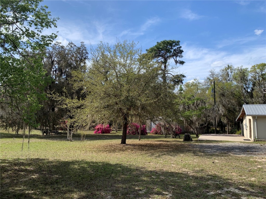 24605 and 24645 NE 177th Terrace Fort Mc Coy FL 32134 TB8433646 image21