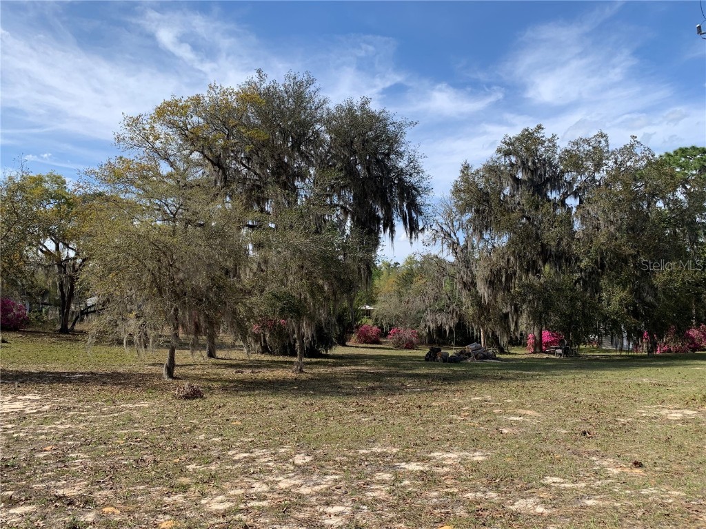 24605 and 24645 NE 177th Terrace Fort Mc Coy FL 32134 TB8433646 image31