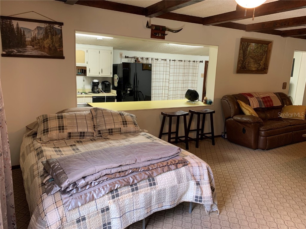 24605 and 24645 NE 177th Terrace Fort Mc Coy FL 32134 TB8433646 image36