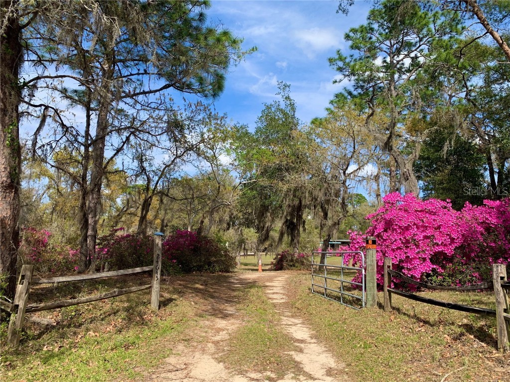 24605 and 24645 NE 177th Terrace Fort Mc Coy FL 32134 TB8433646 image4