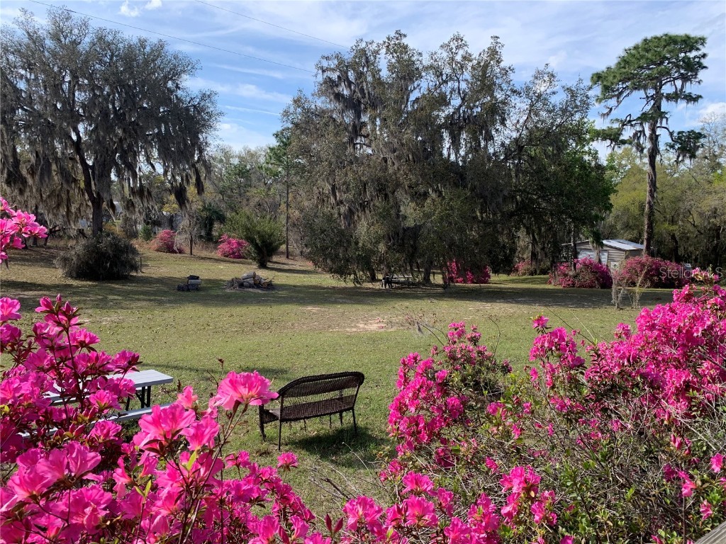 24605 and 24645 NE 177th Terrace Fort Mc Coy FL 32134 TB8433646 image5