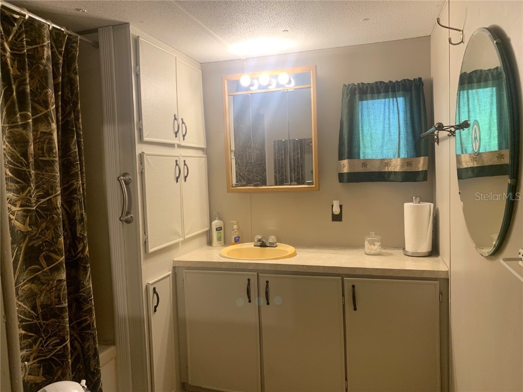 24605 and 24645 NE 177th Terrace Fort Mc Coy FL 32134 TB8433646 image61