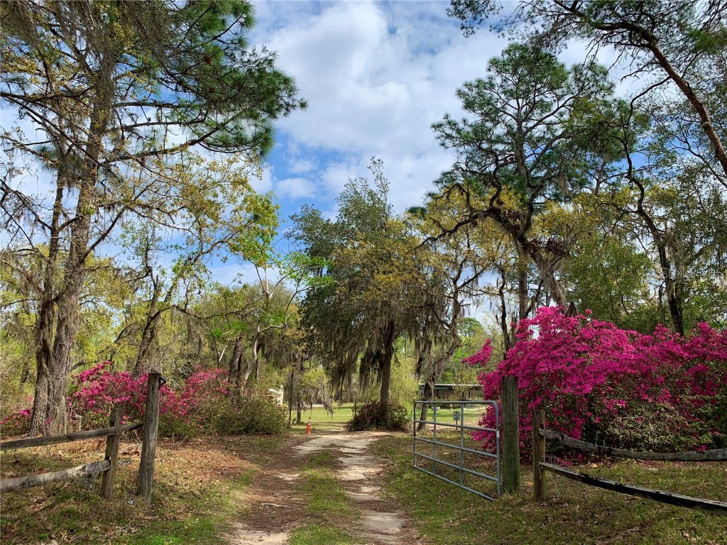 24605 and 24645 NE 177th Terrace Fort Mc Coy FL 32134 TB8433646 image76