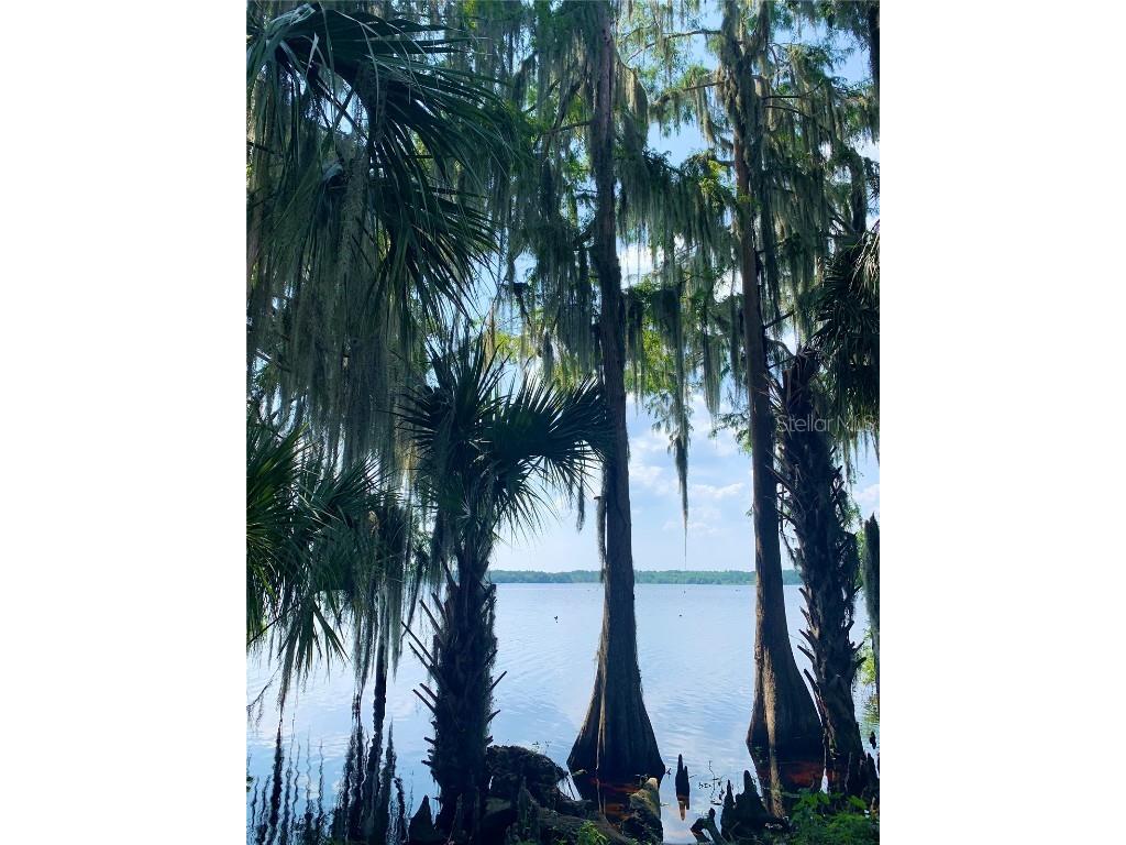 24605 and 24645 NE 177th Terrace Fort Mc Coy FL 32134 TB8433646 image80