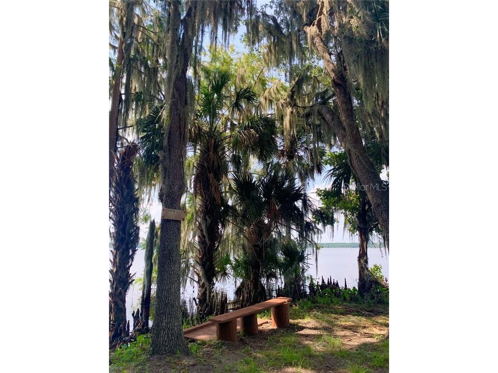 24605 and 24645 NE 177th Terrace Fort Mc Coy FL 32134 TB8433646 image81