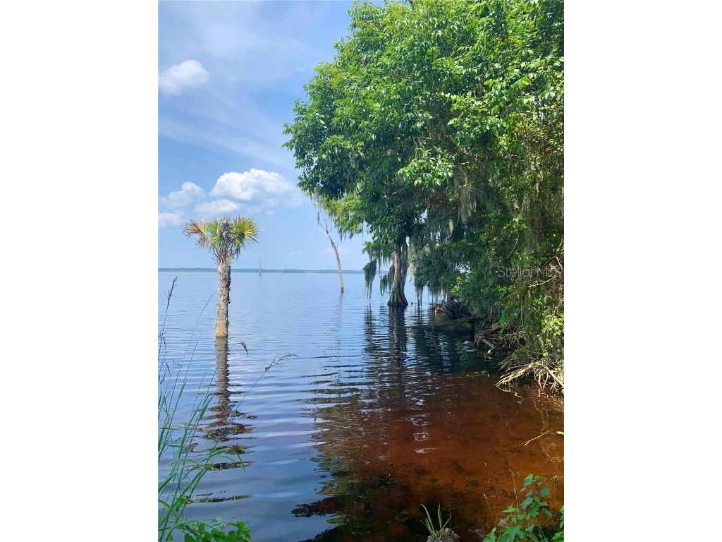 24605 and 24645 NE 177th Terrace Fort Mc Coy FL 32134 TB8433646 image82