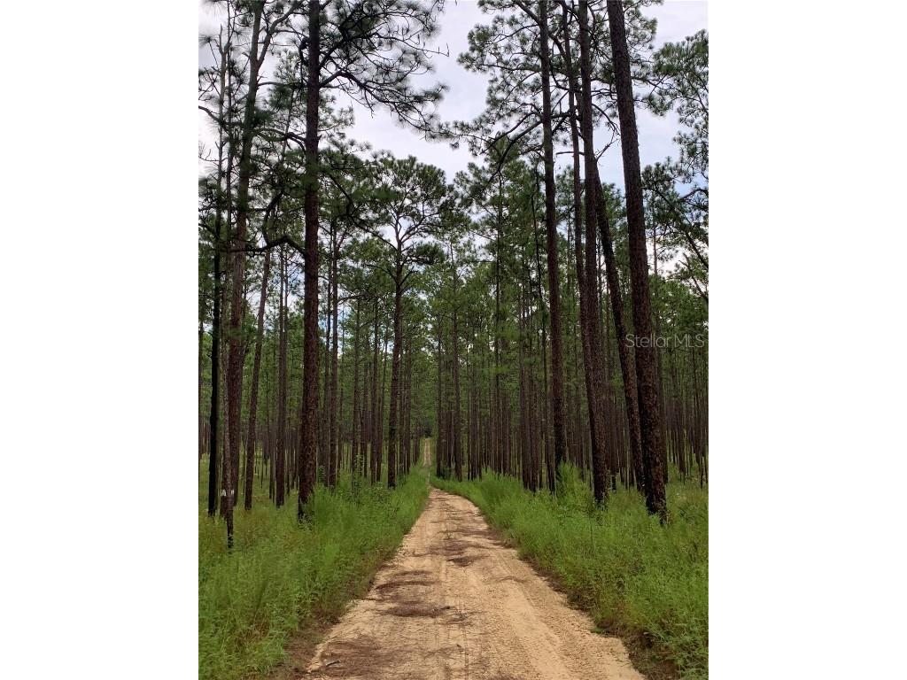 24605 and 24645 NE 177th Terrace Fort Mc Coy FL 32134 TB8433646 image85