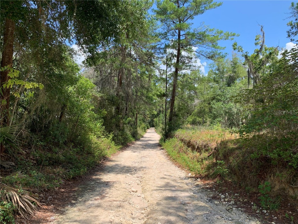 24605 and 24645 NE 177th Terrace Fort Mc Coy FL 32134 TB8433646 image86