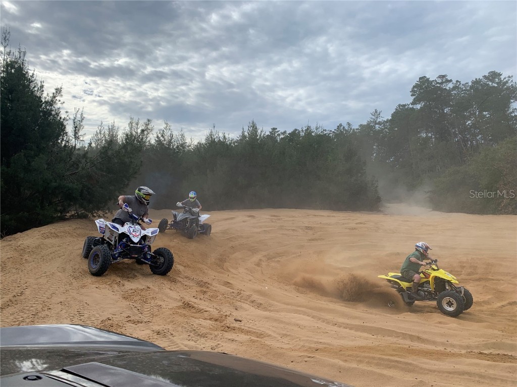 24605 and 24645 NE 177th Terrace Fort Mc Coy FL 32134 TB8433646 image87