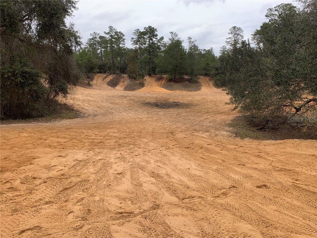 24605 and 24645 NE 177th Terrace Fort Mc Coy FL 32134 TB8433646 image88