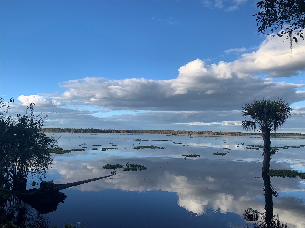 24605 and 24645 NE 177th Terrace Fort Mc Coy FL 32134 TB8433646 image89